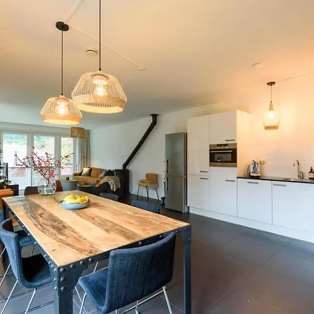 Spacious Family Near Zandvoort & Amsterdam Vila
