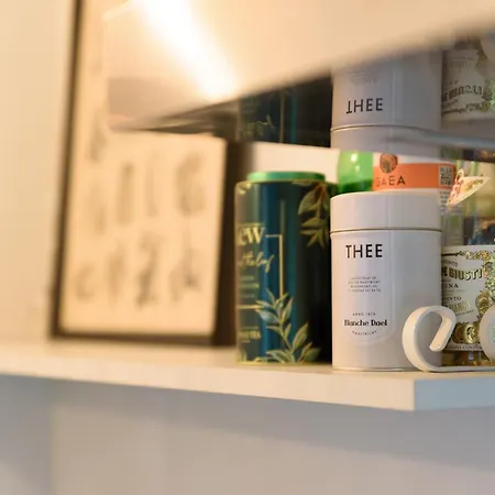 Spacious And Attractive Family Near Amsterdam Villa