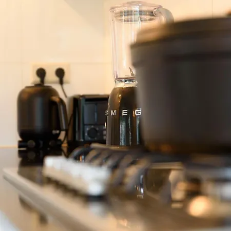 Spacious And Attractive Family Near Amsterdam Villa *