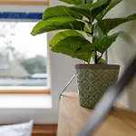 Spacious And Attractive Family Near Amsterdam *
