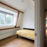 Spacious And Attractive Family Near Amsterdam Overveen